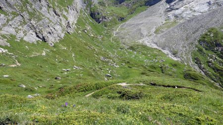 Descente dans le vallon de l’Arcelin