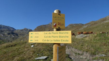 Lac du Lou, direction col de Pierre Blanche