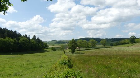 En direction de la gentilhommière de Baigny