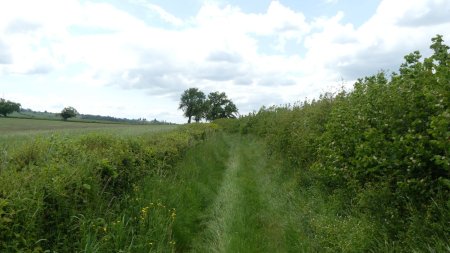 Un vieux chemin en direction de Mont-Saint-Vincent