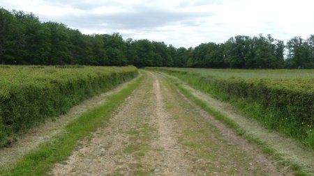 Un beau et large chemin d’origine antique