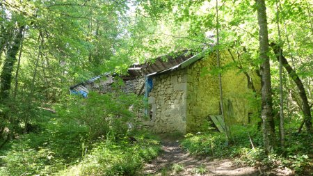 Ruine à proximité des roches du Frênois