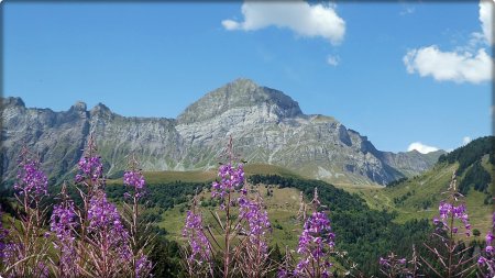 Mont Charvin, vu de la Lierre