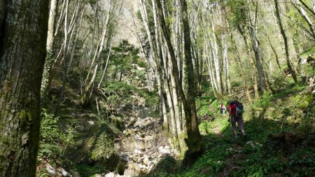 En montant vers la cascade au milieu d’un champ d’ail.