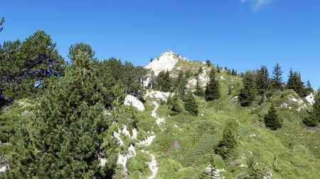 Vers la Dent du Villard