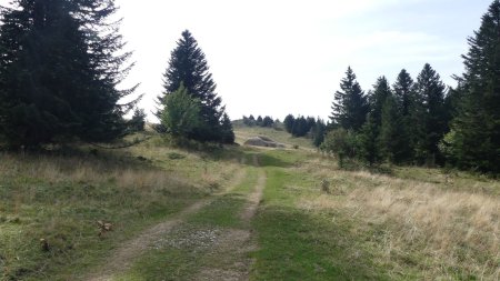 A l’approche de la ferme de la Grande Montagne