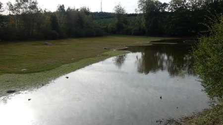 L’étang de Préperny a peu d’eau...