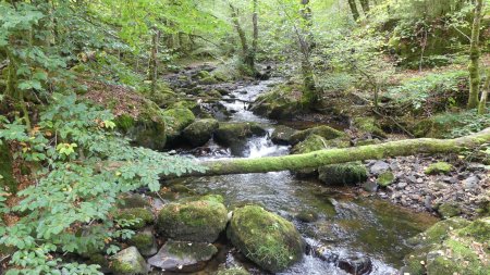 L’Yonne.... Des allures de petit torrent.