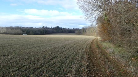 Passage en bordure de la forêt de Flavigny