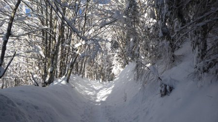 Enfin le soleil, vers 1250m