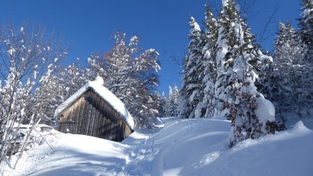 Chalet sous le col