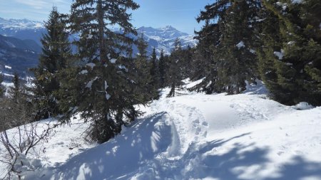 Descente vers les Arcochons