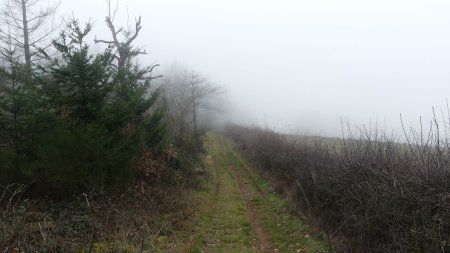 Un chemin qui parcoure une crête