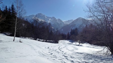 Direction Plansoie, regard vers le Grand Bec et Dent du Villard