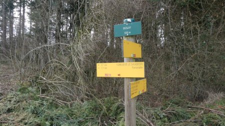 Parvenu à Biolay, poursuivre en direction de la ferme de Biolay