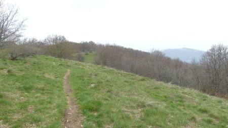 En direction du crêt de Beauregard