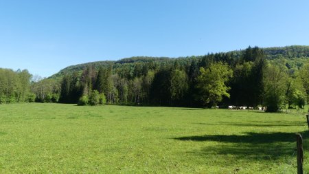 La reculée de vers Cul