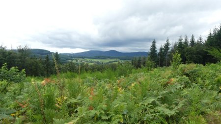 Monts Monnet (1000m) et St-Rigaud (1009m)