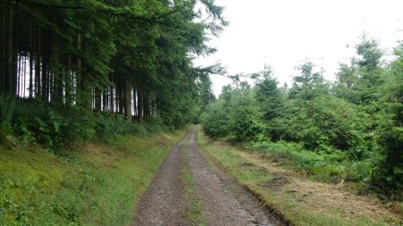 A l’approche de la croix du Pendu