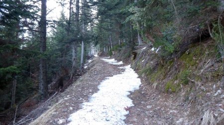 Après le sentier, la piste en lacets vers la Croix de Feissons