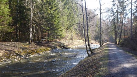 Torrent du Morel