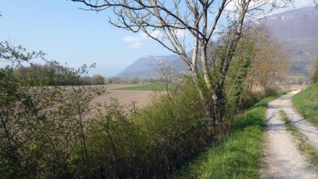 Direction le marais de Largon