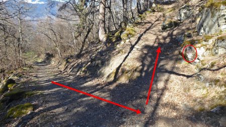 On quitte la piste pour le sentier (flèche rouge sur le rocher)