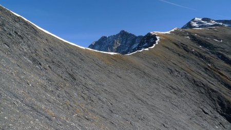 Dévers délicat sous le col.