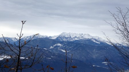 Belledonne