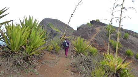  Sur la crête