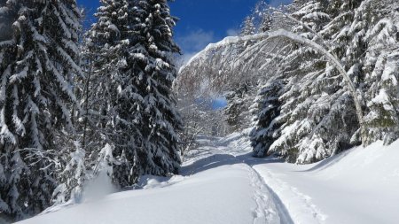 Vers Bellieuvre