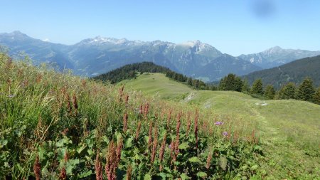 Vue arrière, crête et Lauzière