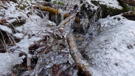 Petit ruisseau gelé