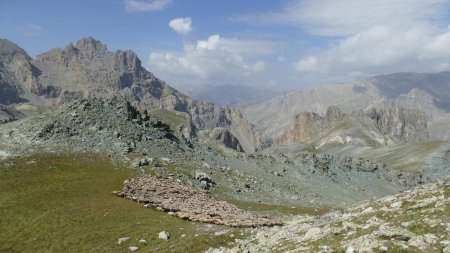 Le troupeau bien maîtrisé par la bergère.