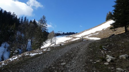 Entrée dans l’alpage