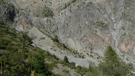 En face c’est le sentier emprunté à la montée.