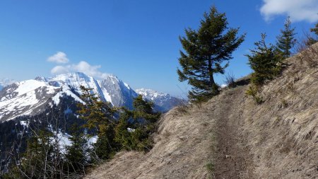 Montée au Parc du Mouton