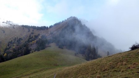 Col du Haut du Four et Parc du Mouton