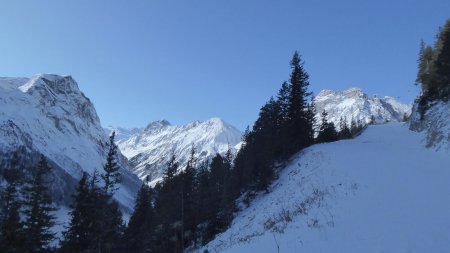 Sur la route (piste hiver) vers le Mont Bochor