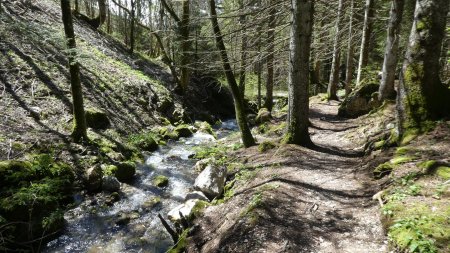 Retour vers la Côte en suivant le Nant de Montmin