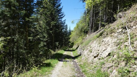 Retour en forêt