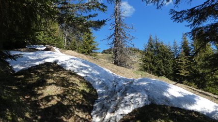 En sortant de forêt