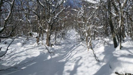  Arête vers le sommet