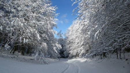  Retour vers le col du Frêne