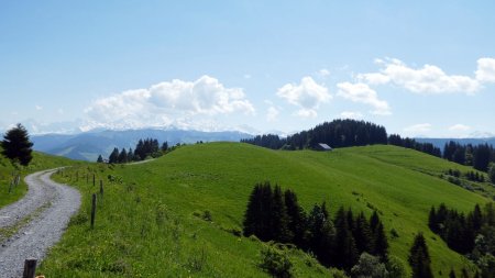 Vers le chalet de Bellieuvre