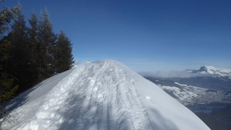 Crête du Crêt du Midi