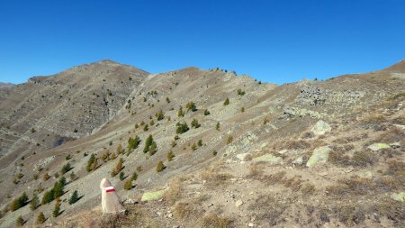 Crêtes et sommet de la Cime de la Blanche