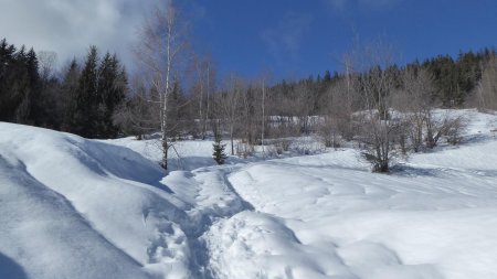 Sur la piste