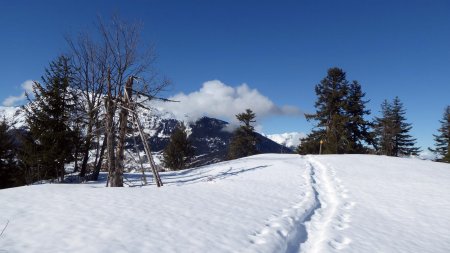 Plateau du Dou de la Motte