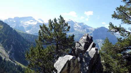 Au bord de la falaise 